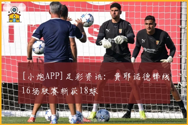 [小炮APP]足彩资讯：费耶诺德锋线16场联赛斩获18球