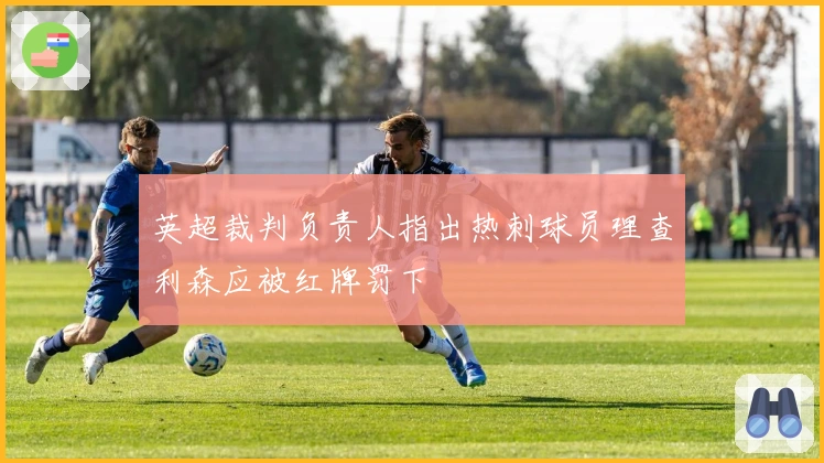 英超裁判负责人指出热刺球员理查利森应被红牌罚下